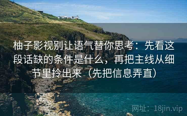 柚子影视别让语气替你思考：先看这段话缺的条件是什么，再把主线从细节里拎出来（先把信息弄直）  第2张